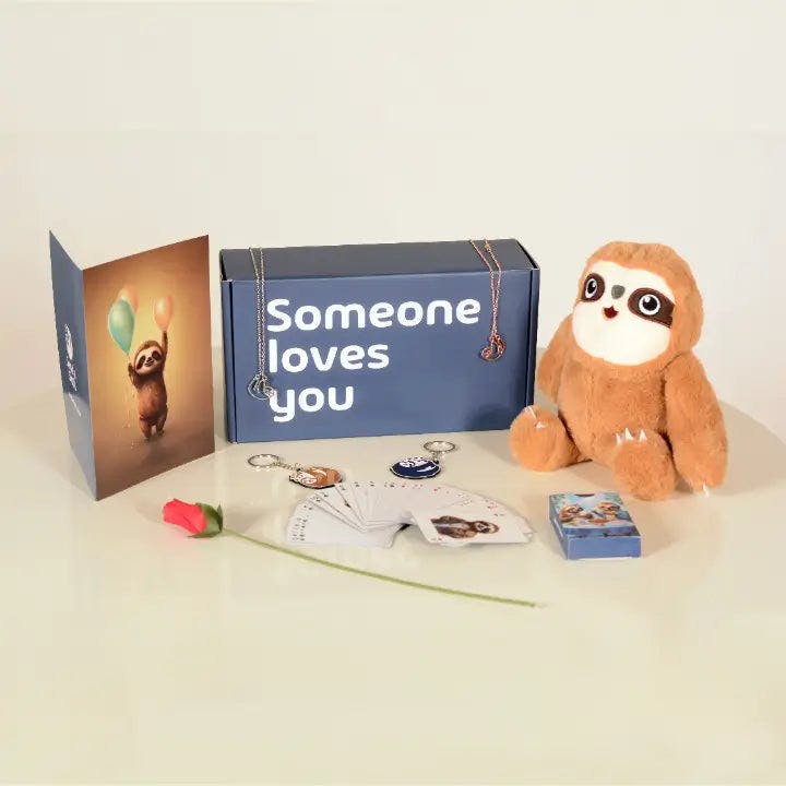 Why Sending a Sloth in a Box is an Amazing Gift Idea